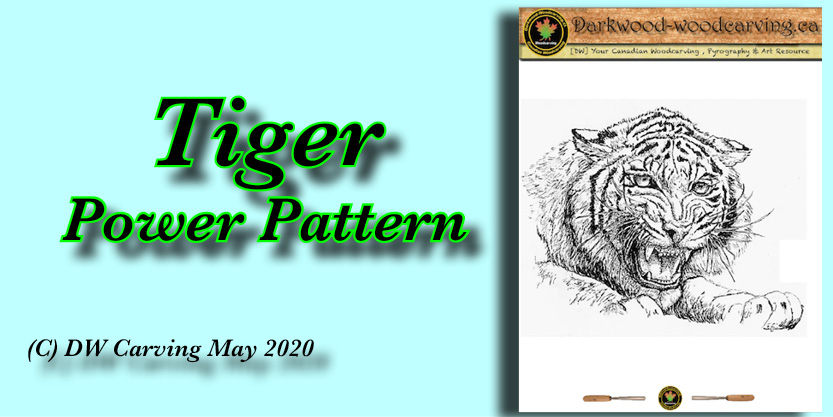 Tiger Power Pattern